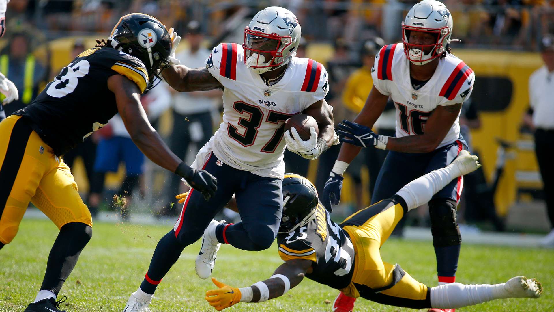 在十五运会 在十五运会